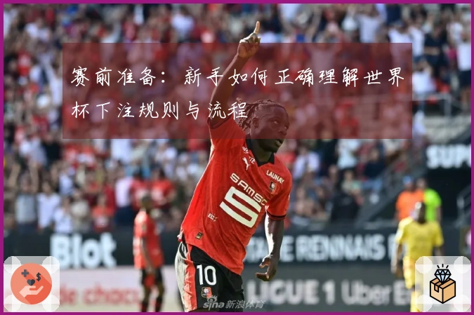 赛前准备：新手如何正确理解世界杯下注规则与流程