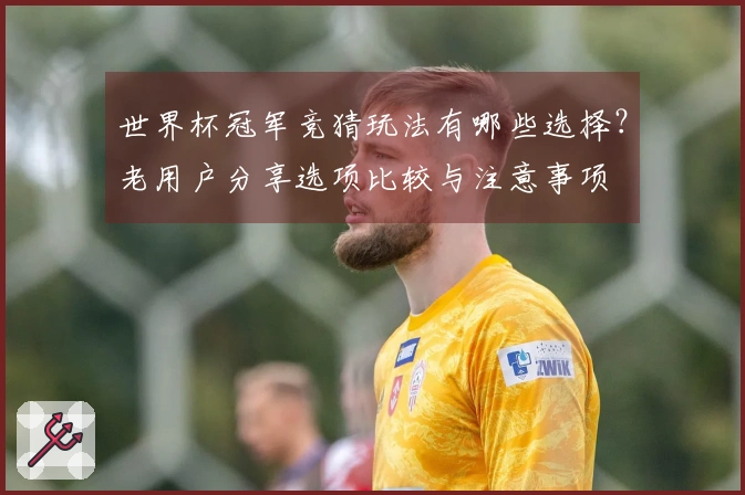 世界杯冠军竞猜玩法有哪些选择？老用户分享选项比较与注意事项