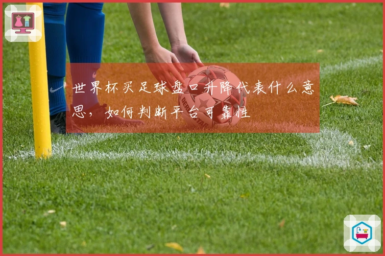 世界杯买足球盘口升降代表什么意思，如何判断平台可靠性
