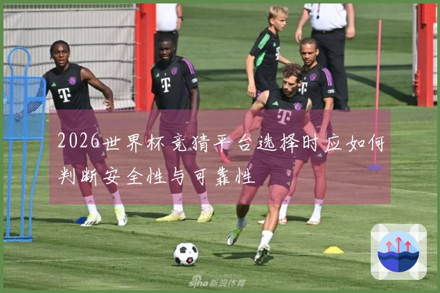 2026世界杯竞猜平台选择时应如何判断安全性与可靠性