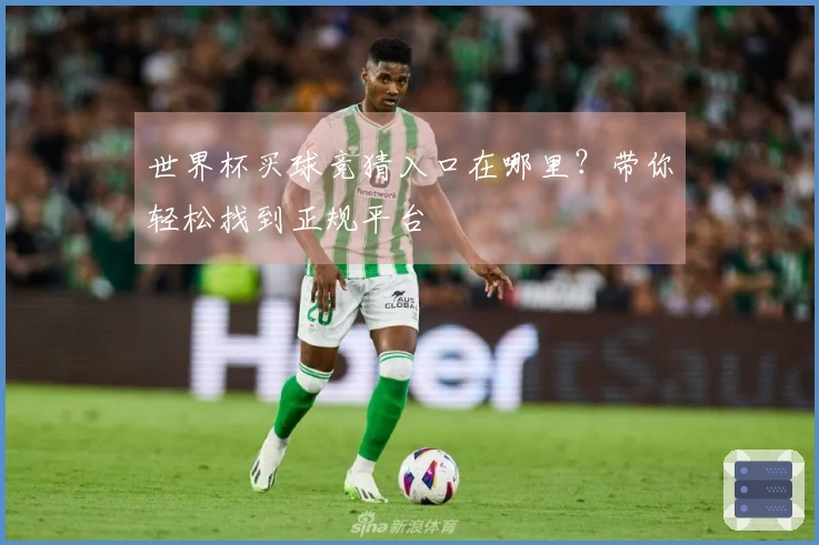 世界杯买球竞猜入口在哪里？带你轻松找到正规平台