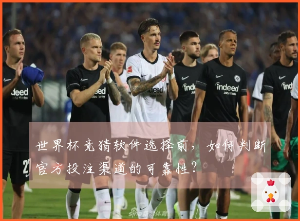 世界杯竞猜软件选择前，如何判断官方投注渠道的可靠性？