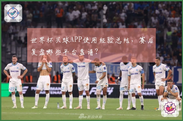 世界杯买球APP使用经验总结，赛后复盘哪些平台靠谱？