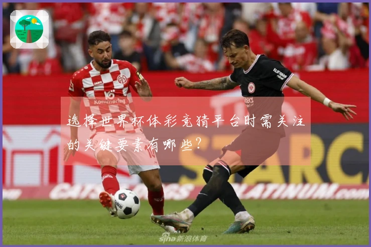 选择世界杯体彩竞猜平台时需关注的关键要素有哪些？