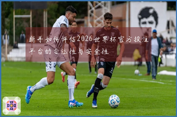 新手如何评估2026世界杯官方投注平台的合法性与安全性