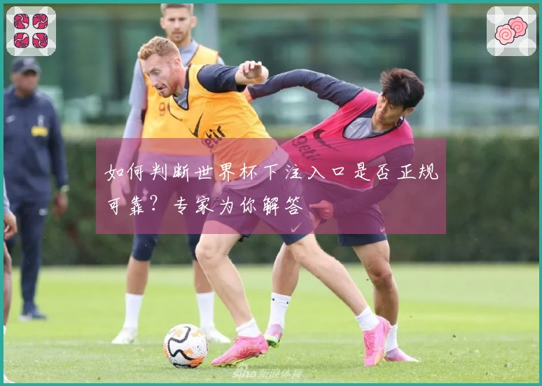 如何判断世界杯下注入口是否正规可靠？专家为你解答