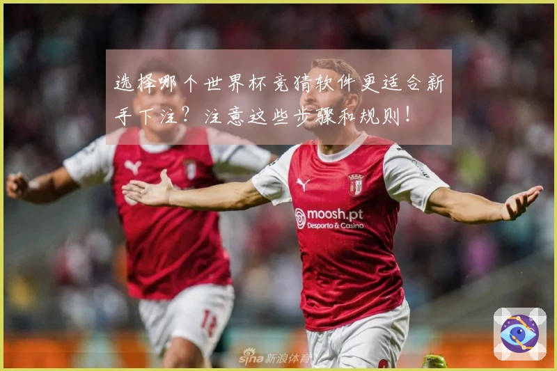 选择哪个世界杯竞猜软件更适合新手下注？注意这些步骤和规则！