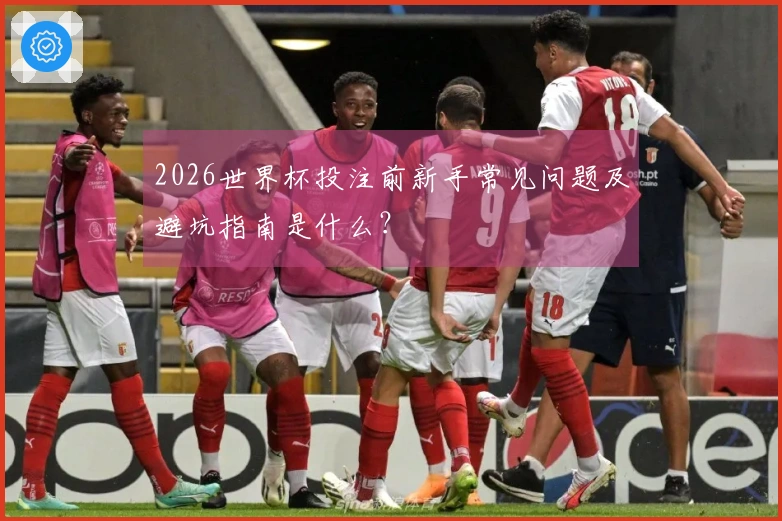 2026世界杯投注前新手常见问题及避坑指南是什么？