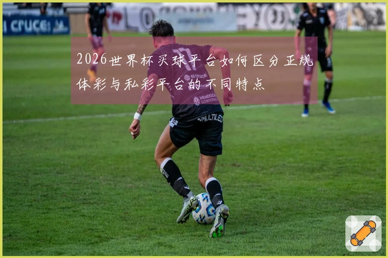 2026世界杯买球平台如何区分正规体彩与私彩平台的不同特点