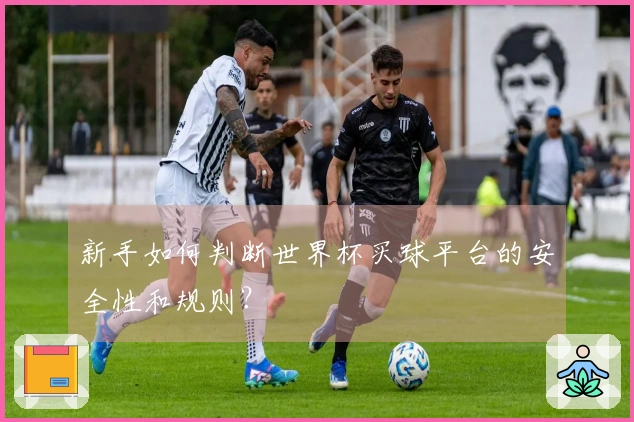 新手如何判断世界杯买球平台的安全性和规则？