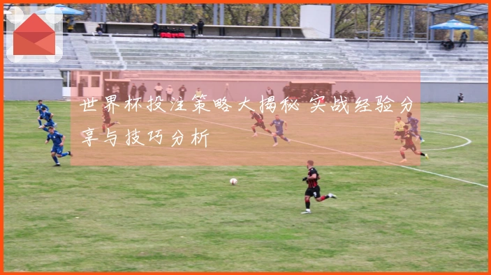 世界杯投注策略大揭秘 实战经验分享与技巧分析