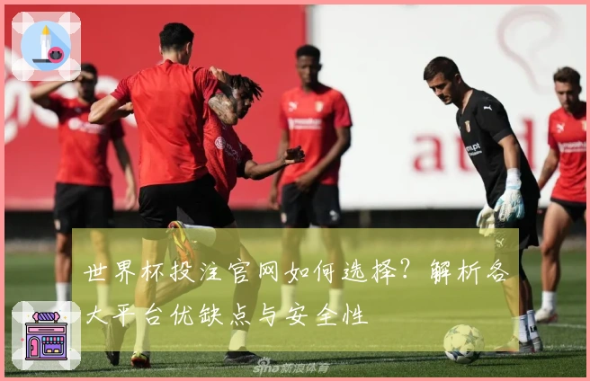 世界杯投注官网如何选择？解析各大平台优缺点与安全性