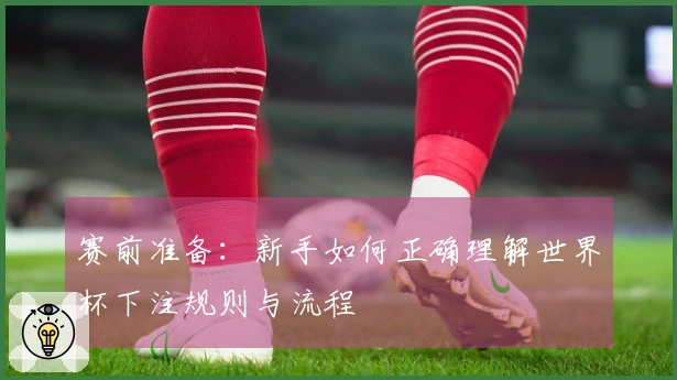 赛前准备：新手如何正确理解世界杯下注规则与流程