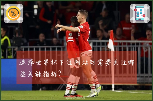 选择世界杯下注网站时需要关注哪些关键指标？