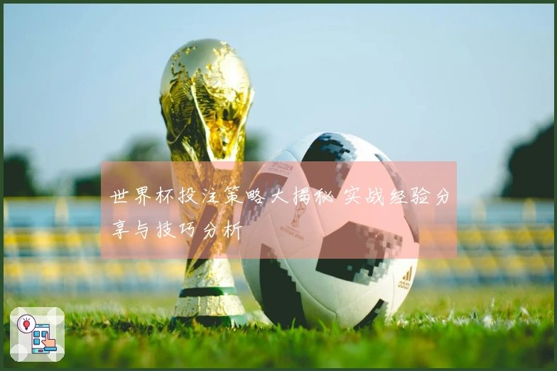 世界杯投注策略大揭秘 实战经验分享与技巧分析