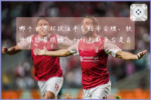 哪个世界杯投注平台赔率合理、软件体验最顺畅?如何判断平台是否安全可靠