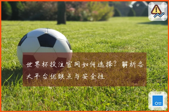 世界杯投注官网如何选择？解析各大平台优缺点与安全性
