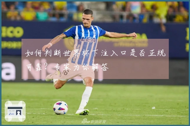 如何判断世界杯下注入口是否正规可靠？专家为你解答