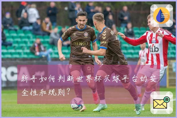 新手如何判断世界杯买球平台的安全性和规则？