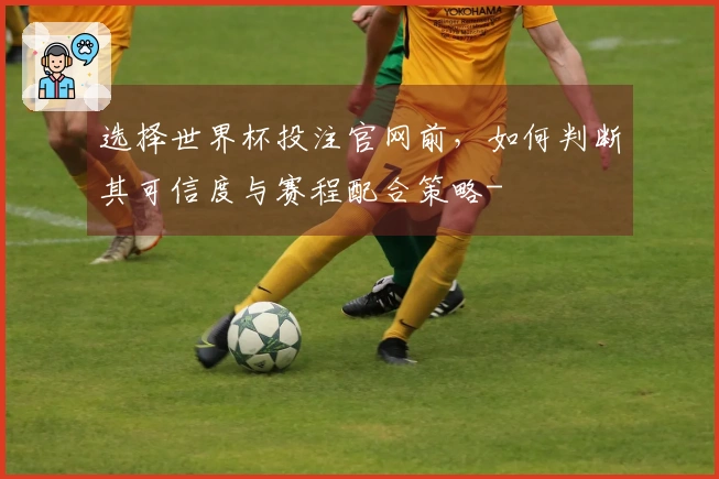 选择世界杯投注官网前，如何判断其可信度与赛程配合策略-