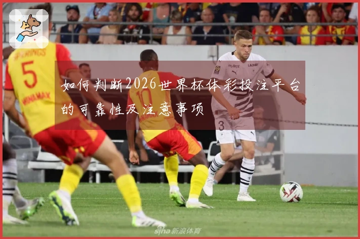 如何判断2026世界杯体彩投注平台的可靠性及注意事项