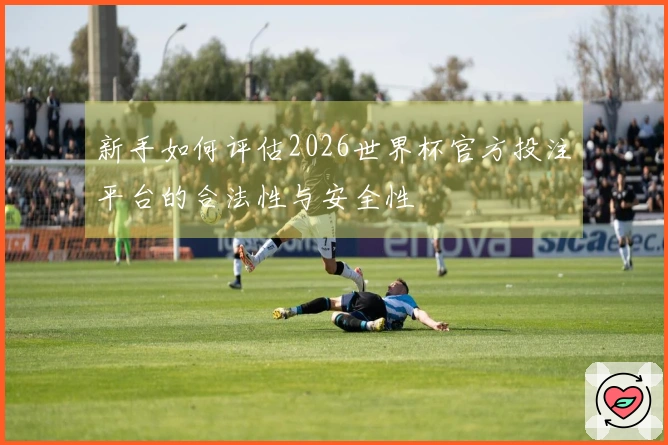 新手如何评估2026世界杯官方投注平台的合法性与安全性