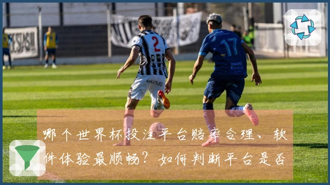 哪个世界杯投注平台赔率合理、软件体验最顺畅？如何判断平台是否安全可靠